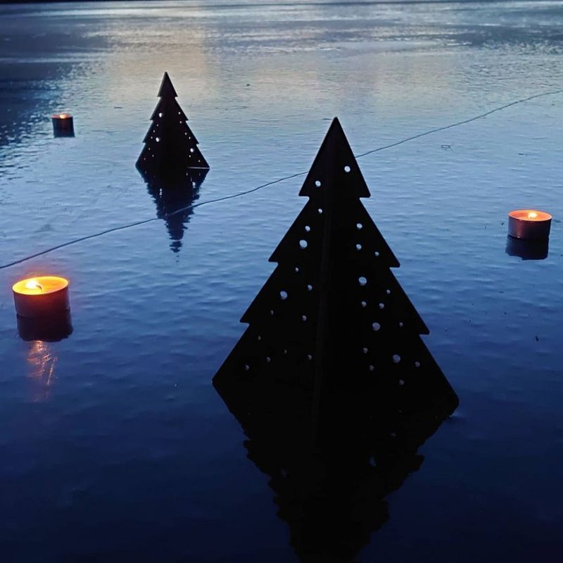 Vintertrær